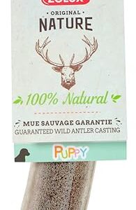 Zolux Bois de cerf biseauté Puppy