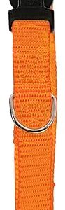 Collier réglable en nylon Orange Long.20/35 cm larg.10 mm pour chien/ZOLUX