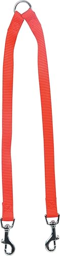 Zolux Accouple Nylon pour Chien Coloris Unis Rouge Largeur 15 mm Longueur 40 cm