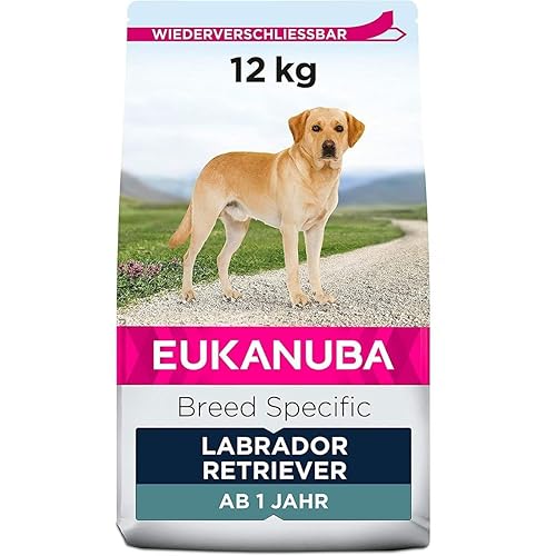 Eukanuba Chien Nourriture sèche Labrador Retriever Poulet 12kg