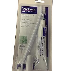 Virbac Kit Brossage Dentaire TB 70 G+ Canule pour Chien 1 g