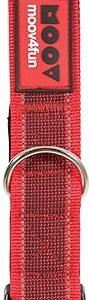 Zolux Moov Collier Réglable Réflectif pour Chien Coloris Rouge 15 mm de Large/Tour de Cou de 30 à