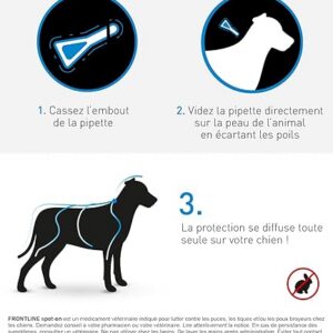 Alternative view of FRONTLINE Spot-on Chien - Anti-puces et anti-tiques pour chien - 40-60kg - 4 pipettes