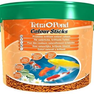 Tetra Pond Colour Sticks – Alimentation Equilibrée pour les Poissons de Bassin à Couleurs vives –