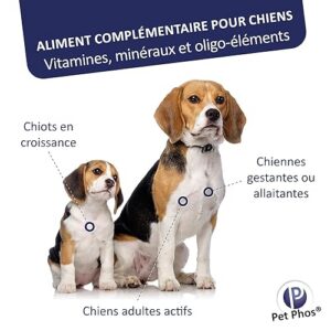 Alternative view of Pet-Phos Canin Croissance Ca/P=2-1 Boite de 100 comprimes complement Croissance