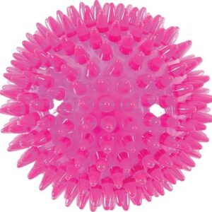 Zolux Picot Pop Jouet Balle pour Chien Framboise Diamètre 8 cm