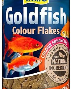TETRA Goldfish Colour - Aliment Complet en flocons pour Poisson Rouge - 250ml