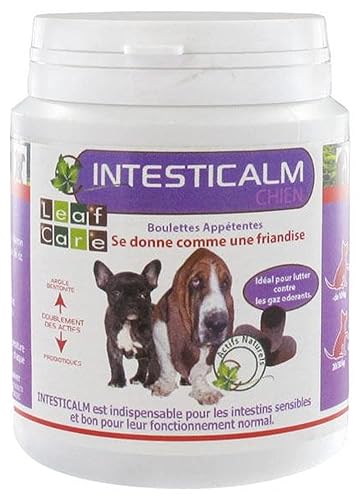 Leaf Care Intesticalm Chien Boulettes 100 g