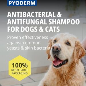 Alternative view of SHAMPOING PYODERM GLYCOTEC Chien & Chat 250 ML