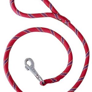Laisse nylon corde 2 m rouge largeur 13 mm environ pour chien/Zolux