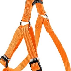 Zolux Harnais Baudrier Nylon Réglable pour Chien Coloris Unis Orange Largeur 10 mm