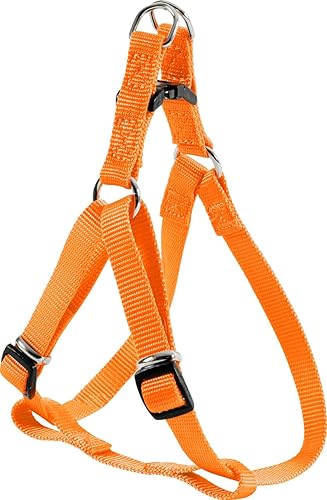Zolux Harnais Baudrier Nylon Réglable pour Chien Coloris Unis Orange Largeur 20 mm