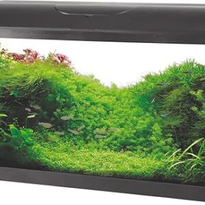 Kit Aquarium Iseo 84 litres éclairage LED