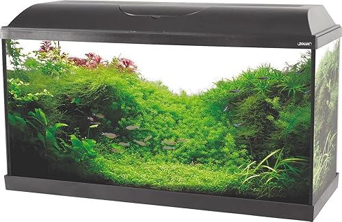 Kit Aquarium Iseo 84 litres éclairage LED
