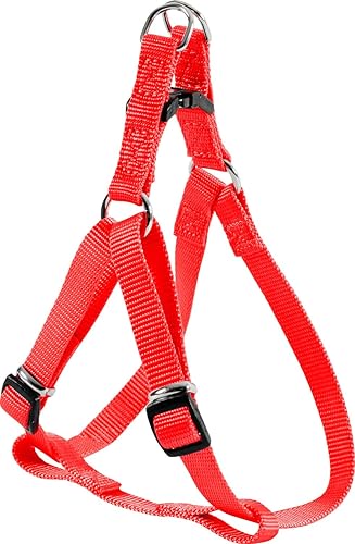 Zolux Harnais Baudrier Nylon Réglable pour Chien Coloris Unis Rouge Largeur 20 mm