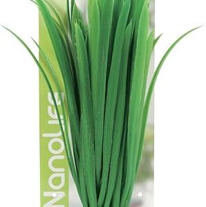 Zolux Décoration Aquarium Plante Artificielle Vallisneria 9 x 4 x 22 cm