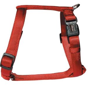 LAISSE NYL CORDE 1,20M 13MM ANIS