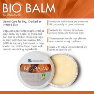 Alternative view of Dermoscent — Bio Balm — Dog Paw Balm — Organic Moisturizer for Paw Pads, Nose & Elbow — Itchy Dog