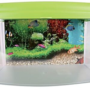 Alternative view of Zolux TravelBox II Aquarium pour Transport/Chambre d'enfant pour Aquariophilie 22 cm Couleur