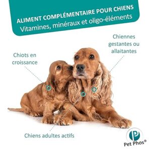 Alternative view of Pet-Phos Canin Croissance Ca/P=1,3 boîte de 100 comprimés