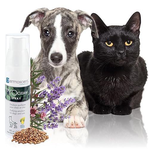 PYOclean Spray pour Chiens & Chats | Spray Purifiant Sans Rinçage | Soin Naturel pour Peaux Sensibles | Aide à Rééquilibrer la Flore Cutanée | 50 ml | Dermoscent