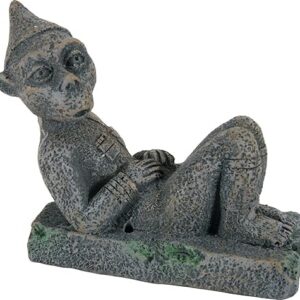 Zolux Décor pour Aquarium Gargouille L 10 x p 5 x h 8,5 cm