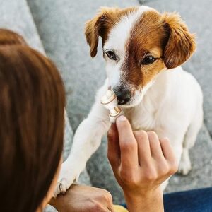 Alternative view of 8 in 1 Delights XS - Os de Poulet à Mâcher pour Chien de Petite Taille -Longue durée- Viande de