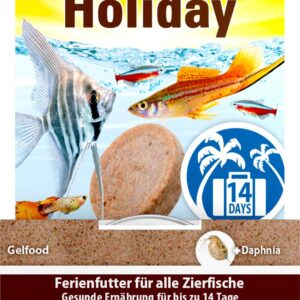 Tetra TetraMin Holiday,30 g (Pack of 1)