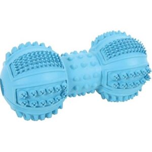 Zolux Jouet Dental Os Assortis pour Chien 9 cm