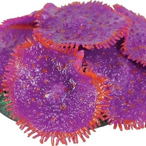 Zolux Décor Aquarium Corail Phosphorescent L 8 X P 8 X H 3 Cm Coloris Aléatoire pour Aquariophilie