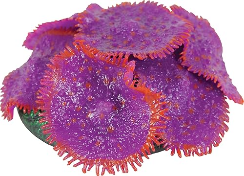 Zolux Décor Aquarium Corail Phosphorescent L 8 X P 8 X H 3 Cm Coloris Aléatoire pour Aquariophilie