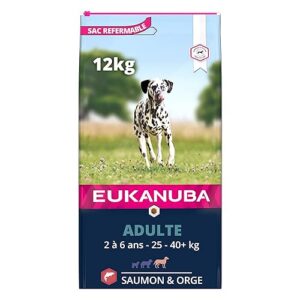 Eukanuba Chien Adulte Nourriture sèche Pour Grande Race Saumon&Orge 12kg
