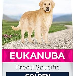 Eukanuba Chien Nourriture sèche Golden Retriever Poulet 12kg