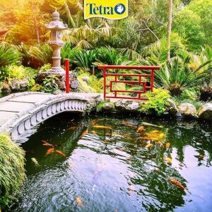 Alternative view of Tetra - Tetra Pond Flakes - 4 litres